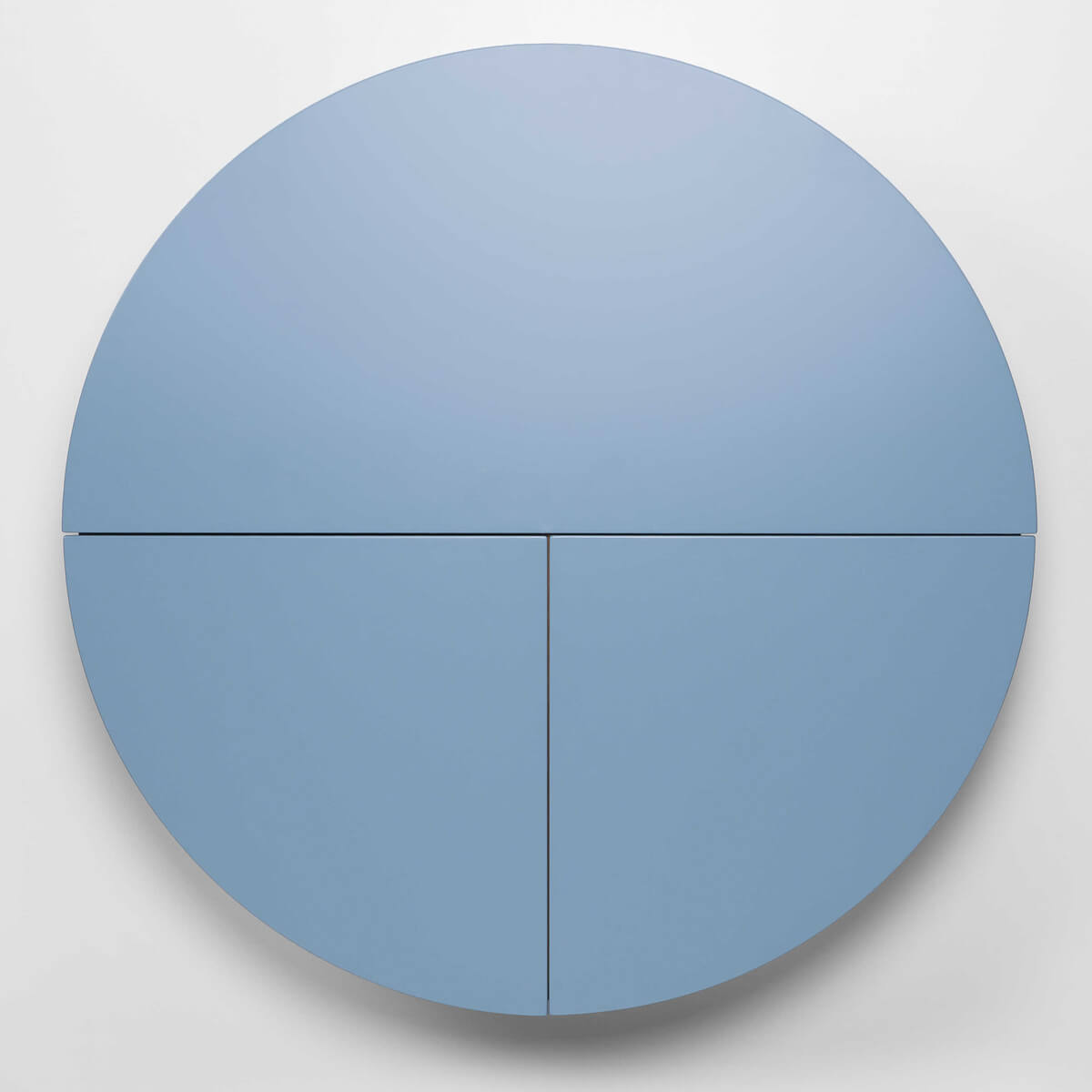 Multifunctional Pill